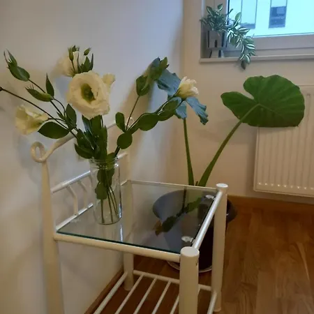 Avenija Oaza Lejlighed Novi Sad