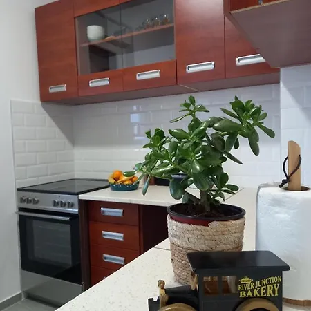 Apartment Avenija Oaza Novi Sad
