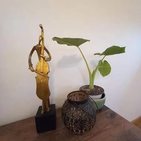 Avenija Oaza Lejlighed Novi Sad