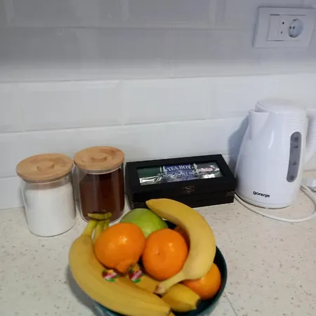 Avenija Oaza * Novi Sad