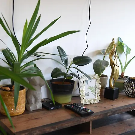 Avenija Oaza Lejlighed