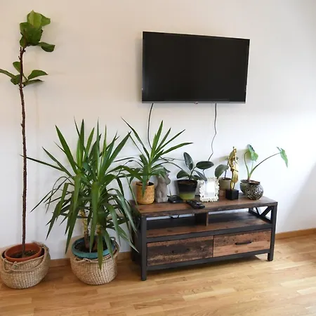 Avenija Oaza Apartment Novi Sad