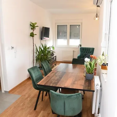 Avenija Oaza * Novi Sad