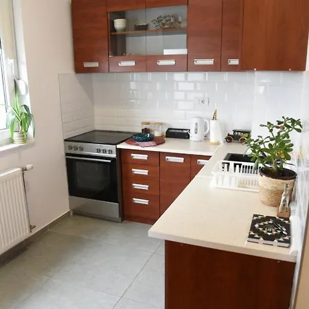 Avenija Oaza Novi Sad